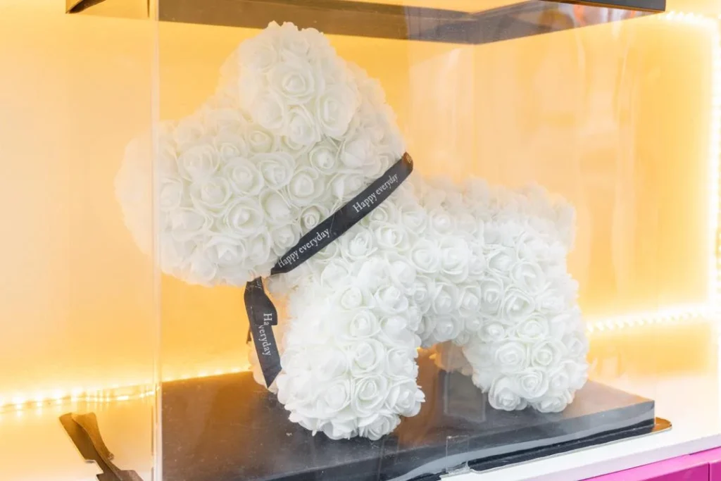 Will Style peluquería